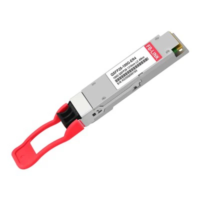 100G ER4 라이트
